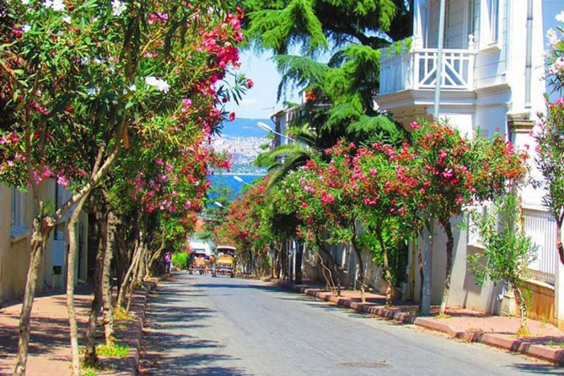 جزایر استانبول